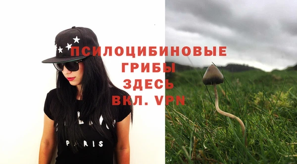 МДМА Белокуриха