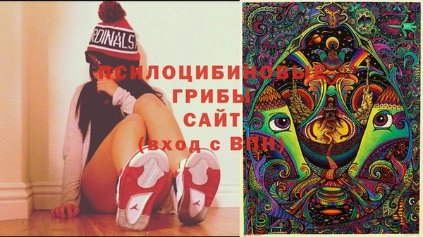 эйфоретик Белоозёрский