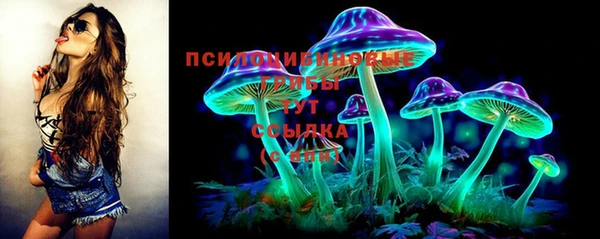 крисы Беломорск