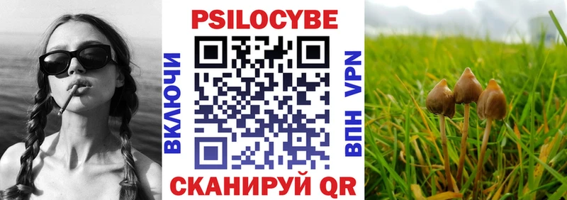 Галлюциногенные грибы Magic Shrooms  omg ссылка  Котельники 